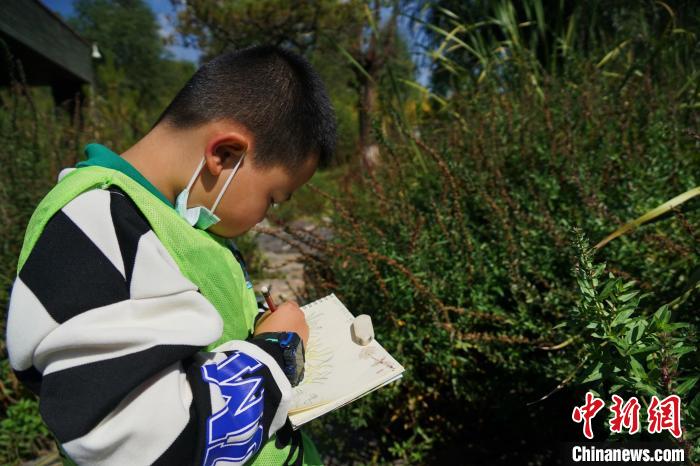 圖為小朋友在青海西寧湟水國家濕地公園內(nèi)認(rèn)識(shí)植物并進(jìn)行繪畫?！●R銘言 攝