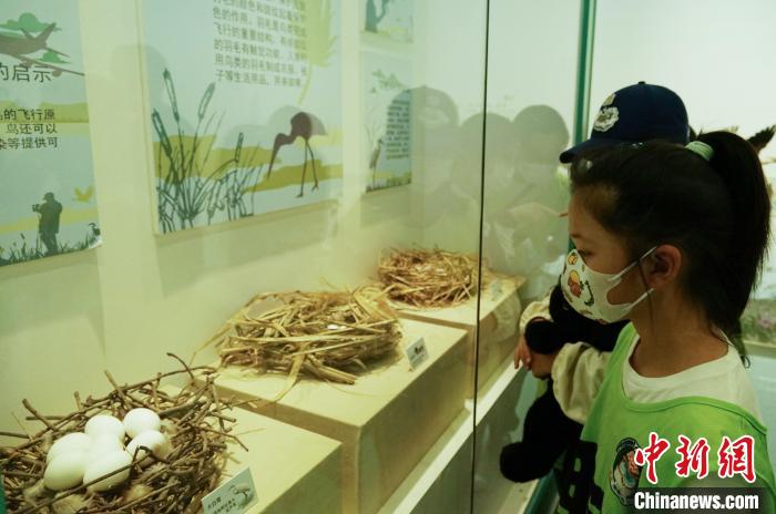 圖為小朋友在青海西寧湟水國家濕地公園科普館內(nèi)參觀學(xué)習(xí)?！●R銘言 攝
