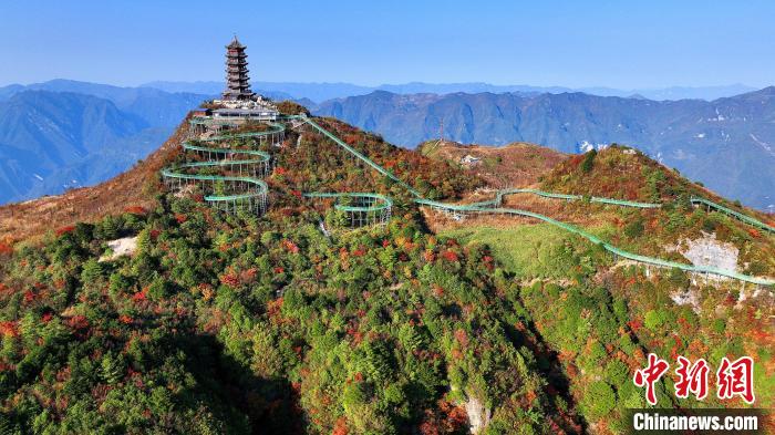 巴山大峽谷彩林迎來最佳觀賞期?！∫κ?攝