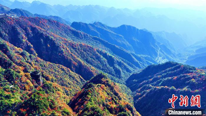 巴山大峽谷彩林迎來最佳觀賞期?！埰?攝