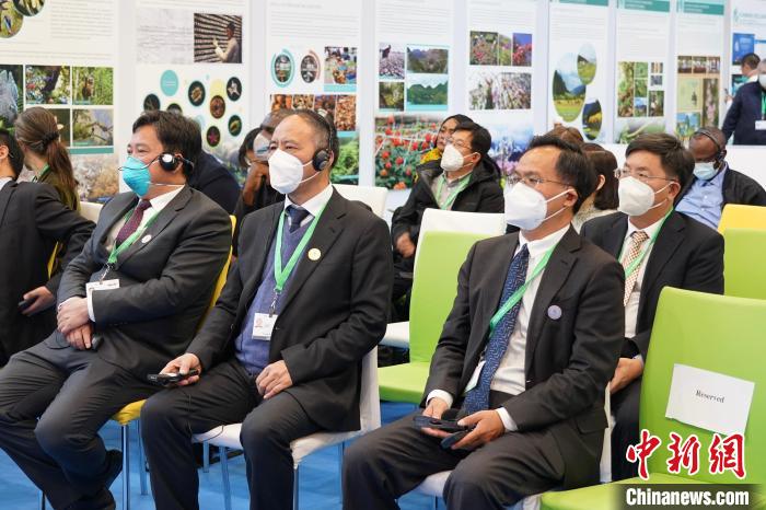 圖為極小種群物種和生物多樣性保護(hù)邊會現(xiàn)場?！≡颇鲜×謽I(yè)和草原局供圖
