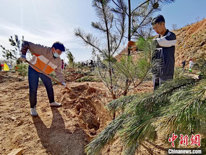 圖為西寧市城東區(qū)義務(wù)植樹活動(dòng)現(xiàn)場(chǎng)?！?zhí)砀?攝