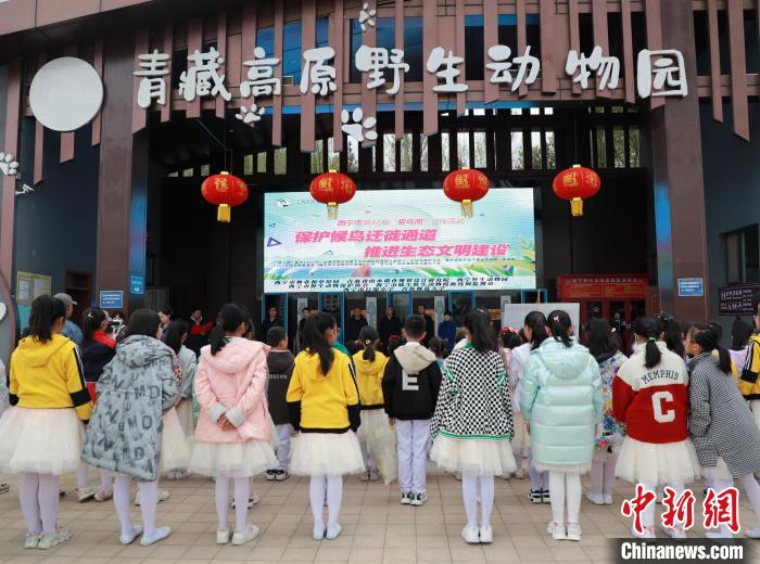 圖為青海省西寧市開展第42屆“愛鳥周”科普宣傳活動?！●R銘言 攝