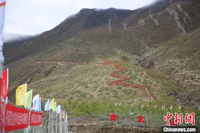 圖為拉薩南北山綠化工程拉薩曲水縣才納村5號(hào)片區(qū)?！∝暣_ 攝