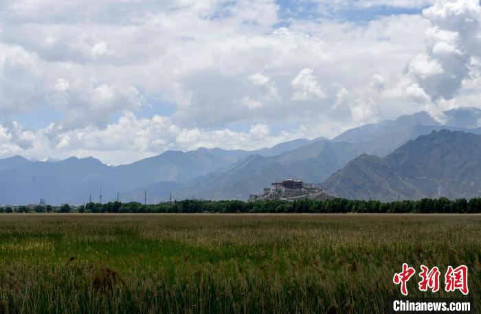 圖為拉薩拉魯濕地?！±盍?攝