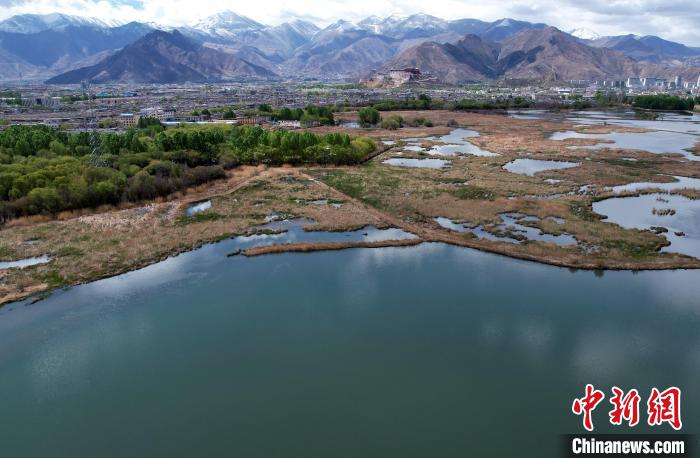 圖為拉薩拉魯濕地。(無人機(jī)照片) 李林 攝