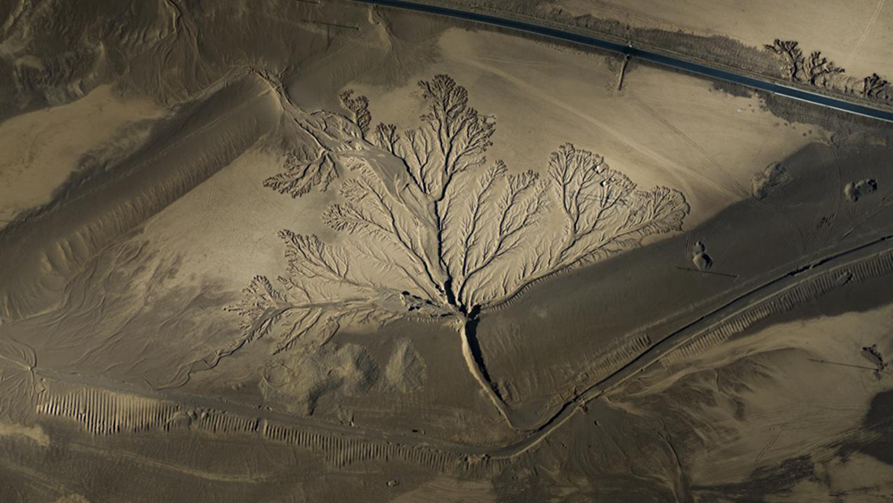 無人機(jī)視角下的西藏阿里地區(qū)改則縣“大地之樹”景觀。尼瑪多吉攝