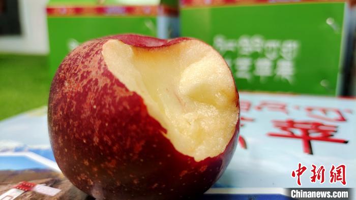 圖為通麥村特色甜心蘋果?！∝暽＠?攝