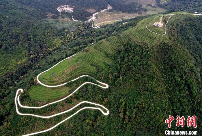 圖為西藏林芝市墨脫縣背崩鄉(xiāng)格林村山頂?shù)木坝^茶園。(無(wú)人機(jī)照片) 李林 攝