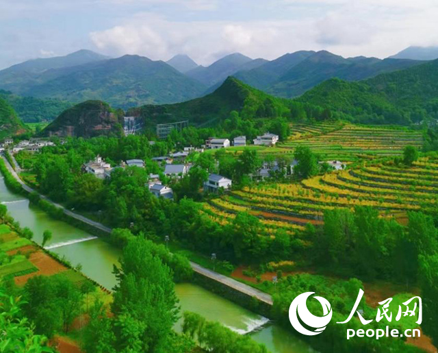 陜西商洛漫川關(guān)鎮(zhèn)民宿群。人民網(wǎng) 王麗攝