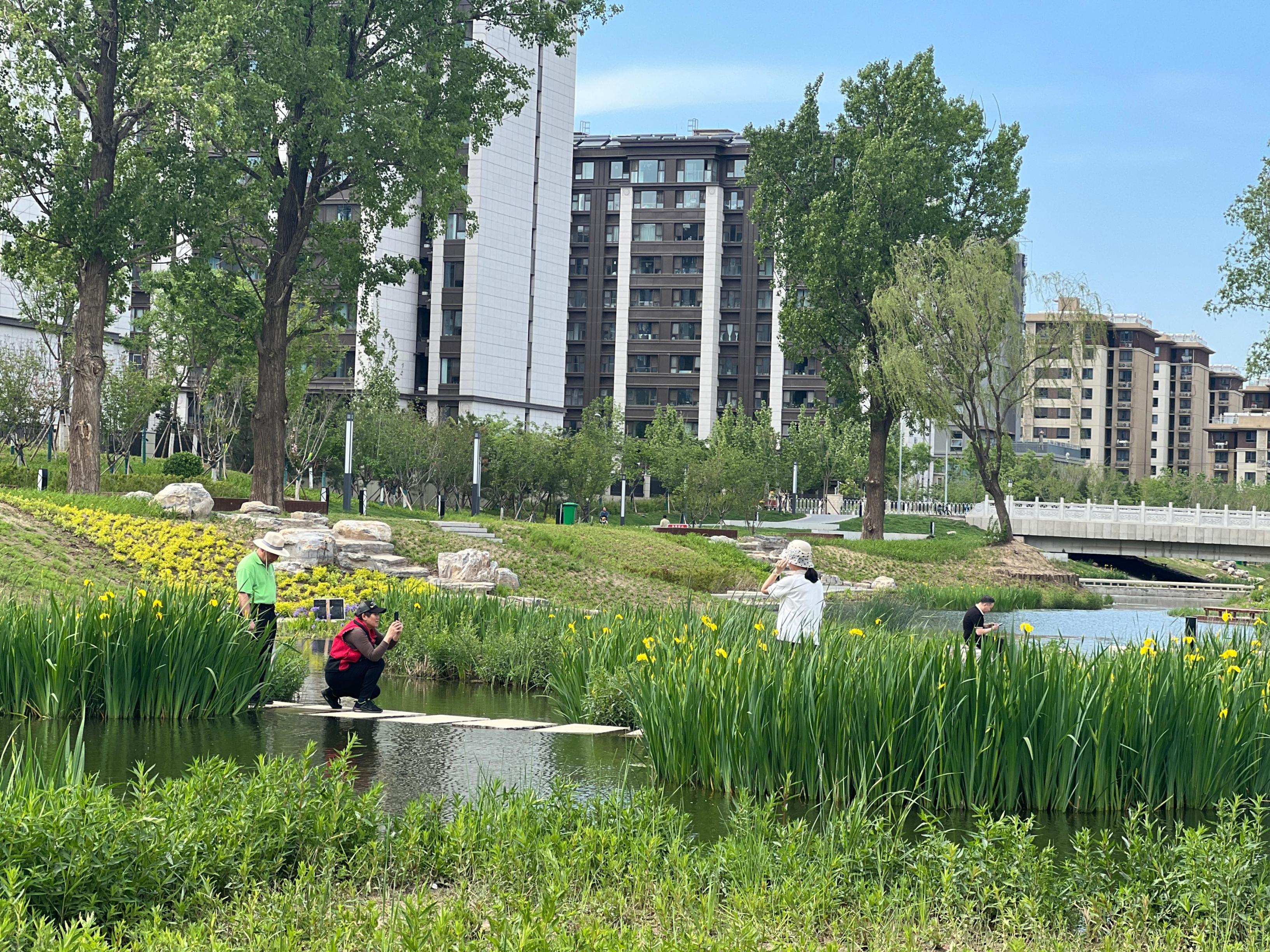 五一渠生態(tài)濱河公園內(nèi)，市民正在拍照留念。人民網(wǎng) 歐陽易佳攝