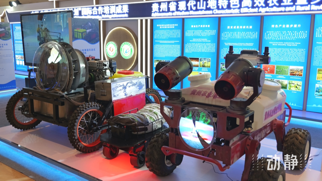 展示成果分享經(jīng)驗，中國—東盟教育交流周深化合作共創(chuàng)未來！