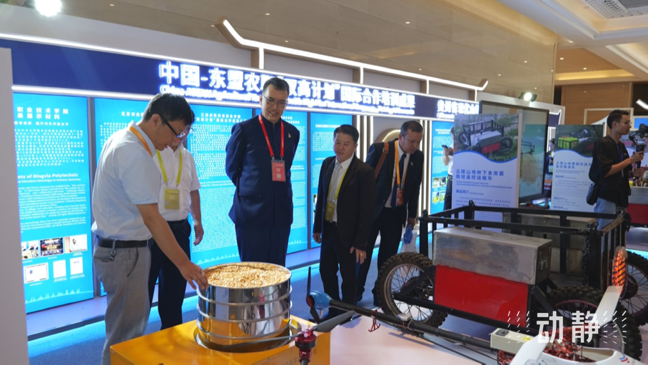 展示成果分享經(jīng)驗，中國—東盟教育交流周深化合作共創(chuàng)未來！