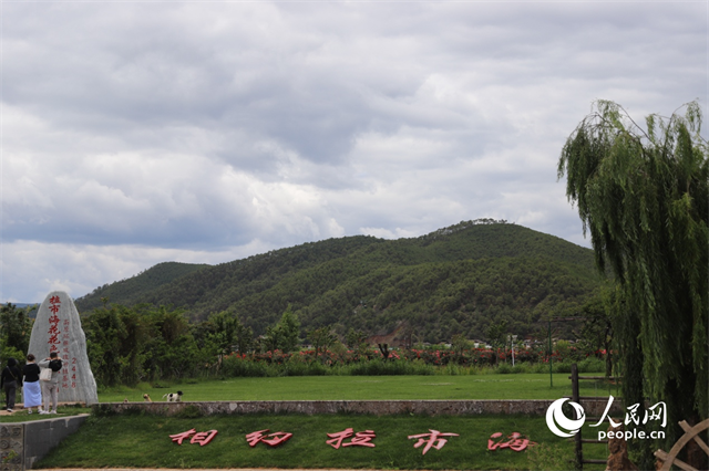 麗江市拉市海景區(qū)。 人民網(wǎng)記者 程浩攝
