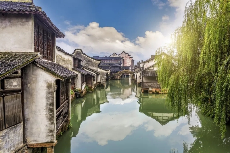 烏鎮(zhèn)動(dòng)觀察｜這個(gè)字，牽起國(guó)際交流互鑒之紐帶