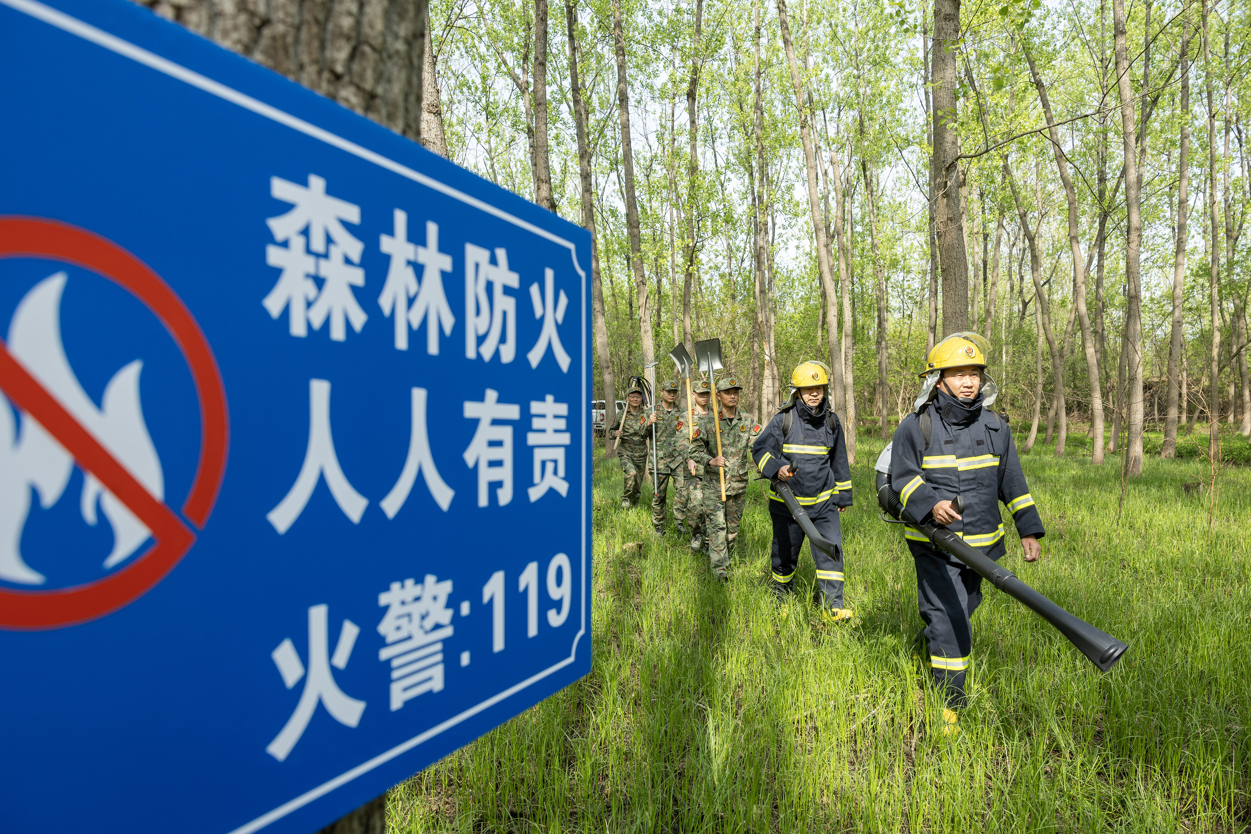 2024年4月9日，合肥市大房郢水庫水源保護(hù)地廬陽經(jīng)濟(jì)開發(fā)區(qū)段，基干民兵正在林間巡查火災(zāi)隱患。