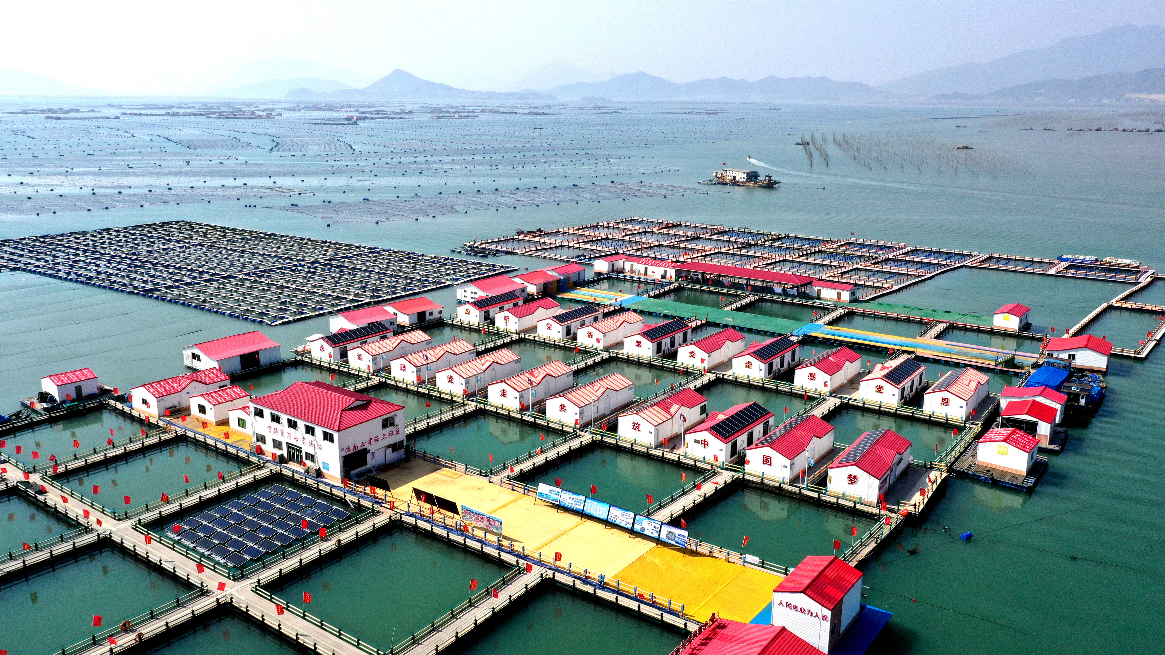 2024年3月20日，福建省寧德市，霞浦縣溪南鎮(zhèn)七星村漁排養(yǎng)殖示范區(qū)，漁民駕駛養(yǎng)殖船進(jìn)行海參養(yǎng)殖作業(yè)。