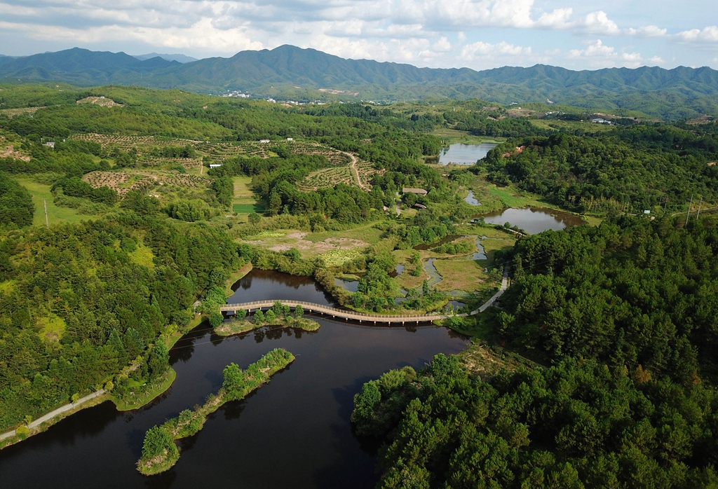 福建省龍巖市長(zhǎng)汀縣的長(zhǎng)汀汀江國(guó)家濕地公園景色（2020年7月28日攝，無(wú)人機(jī)照片）。新華社記者 魏培全 攝