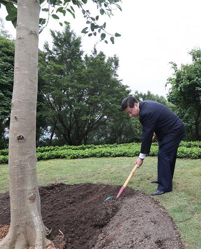 2012年12月7日至11日，習(xí)近平在廣東省考察工作。這是8日上午，習(xí)近平在深圳蓮花山公園種下一棵高山榕樹。新華社記者 蘭紅光 攝