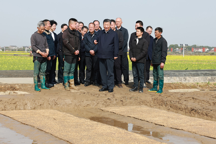 2024年3月18日至21日，中共中央總書(shū)記、國(guó)家主席、中央軍委主席習(xí)近平在湖南考察。這是19日下午，習(xí)近平在常德市鼎城區(qū)謝家鋪鎮(zhèn)港中坪村走進(jìn)田間，察看秧苗培育和春耕備耕進(jìn)展。新華社記者 王曄 攝