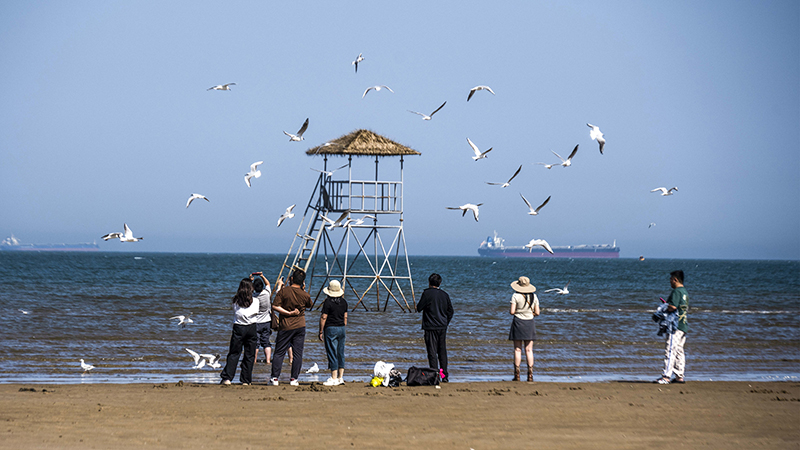 2024年5月12日，河北秦皇島，北戴河鴿子窩公園成群海鷗在天空中自由翱翔，與大海、藍天構成了一幅美麗的畫卷。