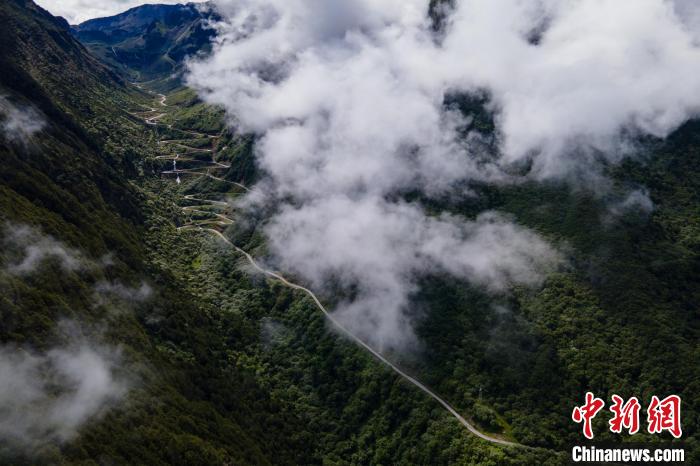 西藏山南勒布溝景區(qū)的盤山公路被云霧環(huán)繞?！〗w波 攝