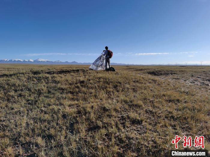 圖為索南達(dá)杰保護(hù)站保護(hù)隊(duì)員在可可西里找到露營(yíng)的葉某?！∴嚭Ｆ?攝