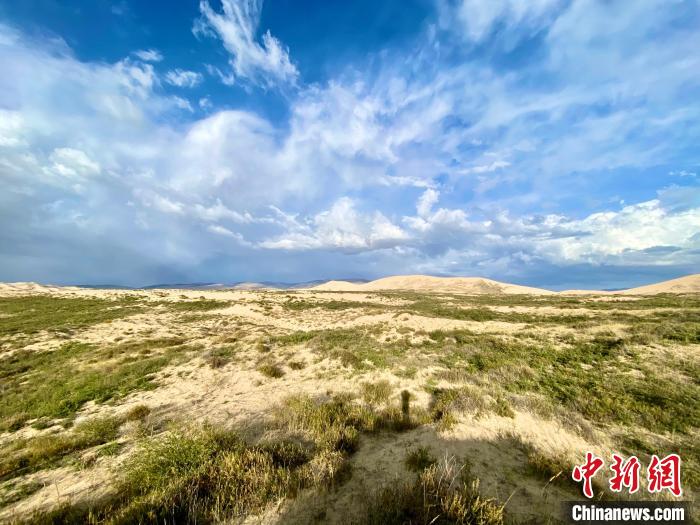圖為關(guān)停四年后的沙島景區(qū)現(xiàn)狀?！±罱瓕?攝