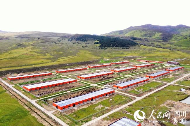 建設(shè)中的理塘縣牦牛產(chǎn)業(yè)園。葉強平攝