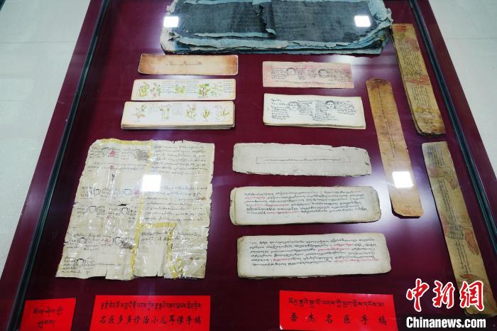 圖為藏醫(yī)古集文獻(xiàn)和藏醫(yī)臨床原始手稿。　馬銘言 攝