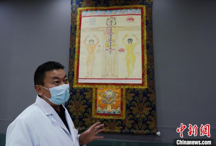 圖為興?？h藏醫(yī)院院長介紹藏醫(yī)四部醫(yī)典詳實圖。　馬銘言 攝