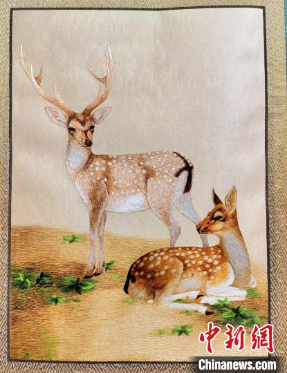 圖為藏繡作品?！∑钤鲚?攝