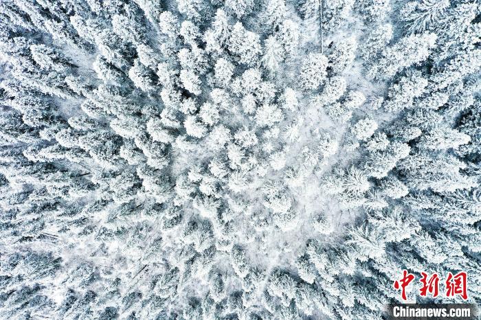 壤塘的雪后美景?！∪捞量h融媒體中心供圖