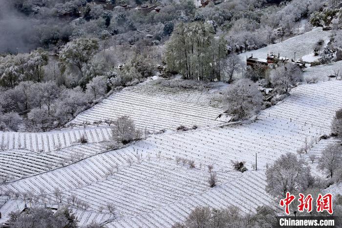 雪后的高山田間如畫?！±钣腊?攝