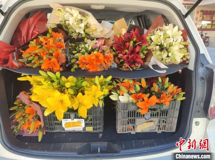 剛剛采摘下來的百合花?！∪捞量h委宣傳部供圖