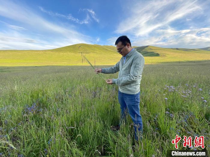 青海達(dá)日“援青縣長(zhǎng)”：雪域高原生態(tài)、民生“并蒂花開(kāi)”