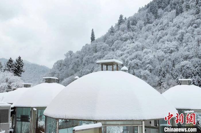 大熊貓國家公園王朗片區(qū)春雪如畫，宛若仙境?！×_春平 攝