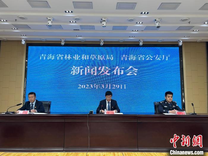 青海去年占用林地、草地準(zhǔn)予許可件同比實(shí)現(xiàn)“雙減”