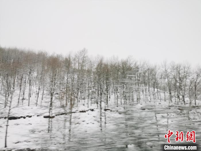 圖為青海青沙山區(qū)域被降雪覆蓋?！?zhí)砀?攝
