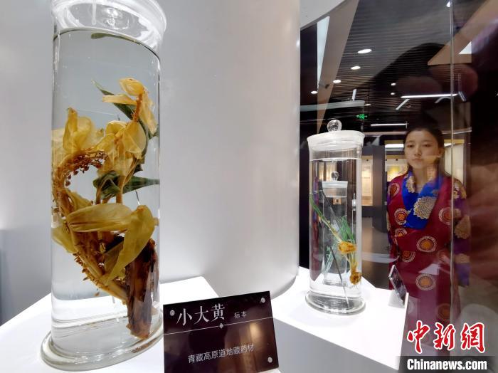 青海中藏醫(yī)藥發(fā)展提速：建設(shè)一批重點(diǎn)?？茖W(xué)科，推廣一批適宜技術(shù)