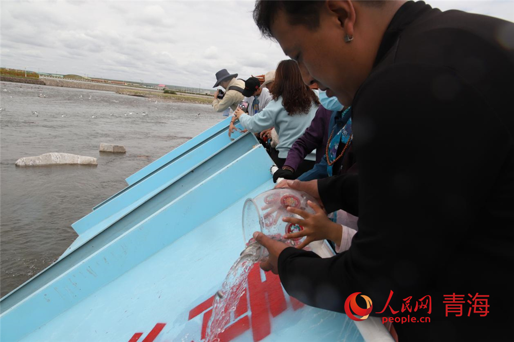 群眾放流青海湖裸鯉。人民網(wǎng) 陳明菊攝