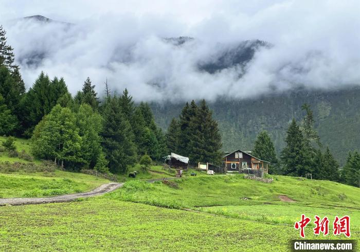 6月10日，魯朗小鎮(zhèn)高山牧場(chǎng)景區(qū)風(fēng)光?！∪轿木?攝