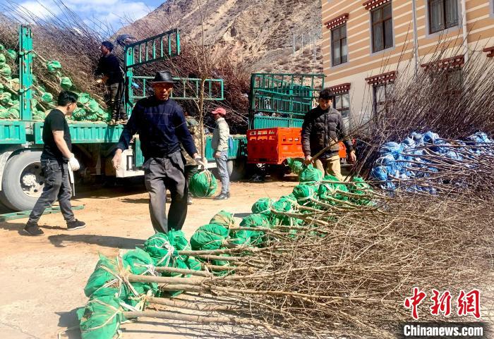 民眾搬運苗木?！〔际忻⒖悼h委宣傳部供圖