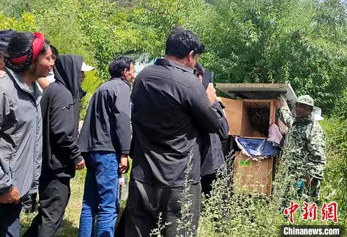 拉久西村村民學(xué)習(xí)養(yǎng)蜂工作流程和防范事項(xiàng)?！〔际忻⒖悼h委宣傳部供圖