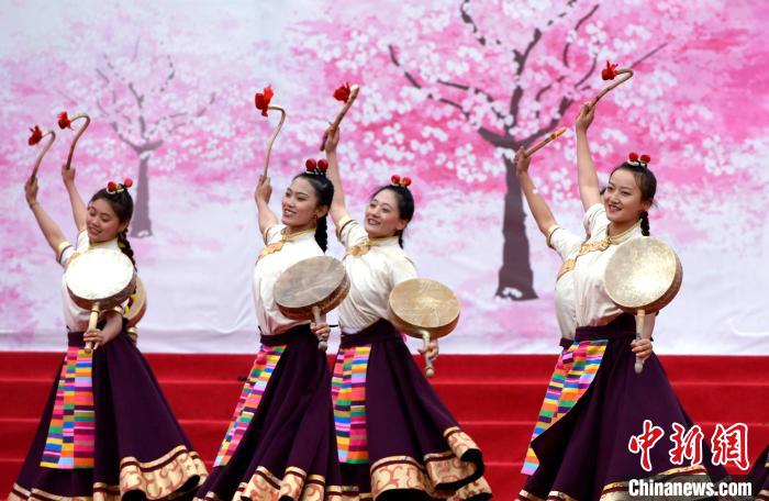 3月28日，西藏林芝第二十屆桃花旅游文化節(jié)開幕式上的文藝表演?！±盍?攝