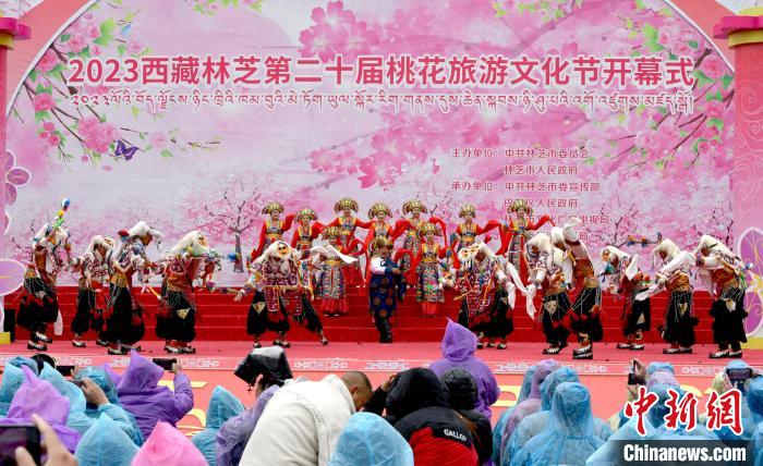 3月28日，西藏林芝第二十屆桃花旅游文化節(jié)開幕式上的文藝表演?！±盍?攝