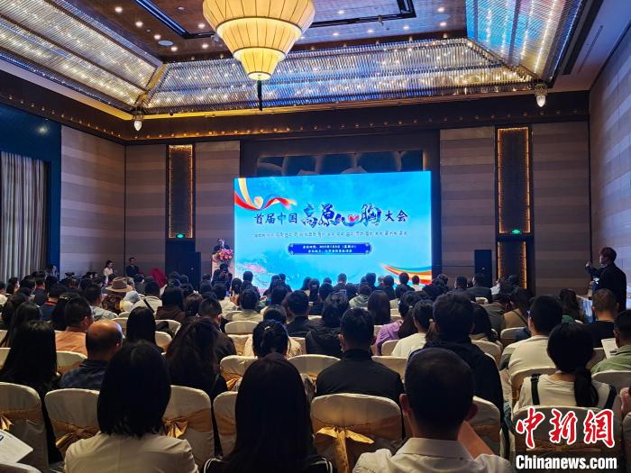 圖為首屆中國高原心胸大會(huì)現(xiàn)場?！☆D旦旺姆 攝