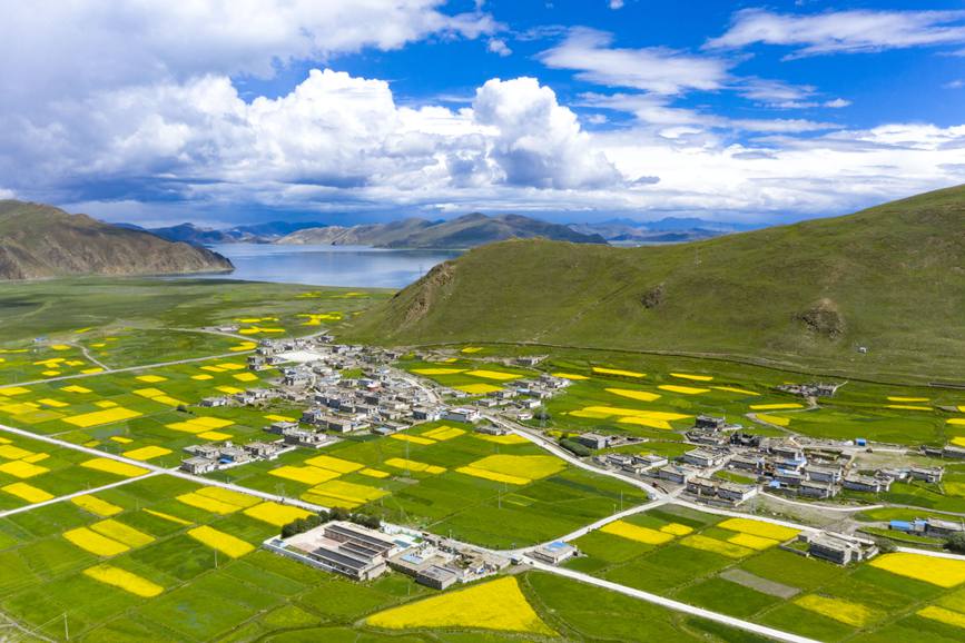 航拍道布龍村，依山傍水，阡陌縱橫。