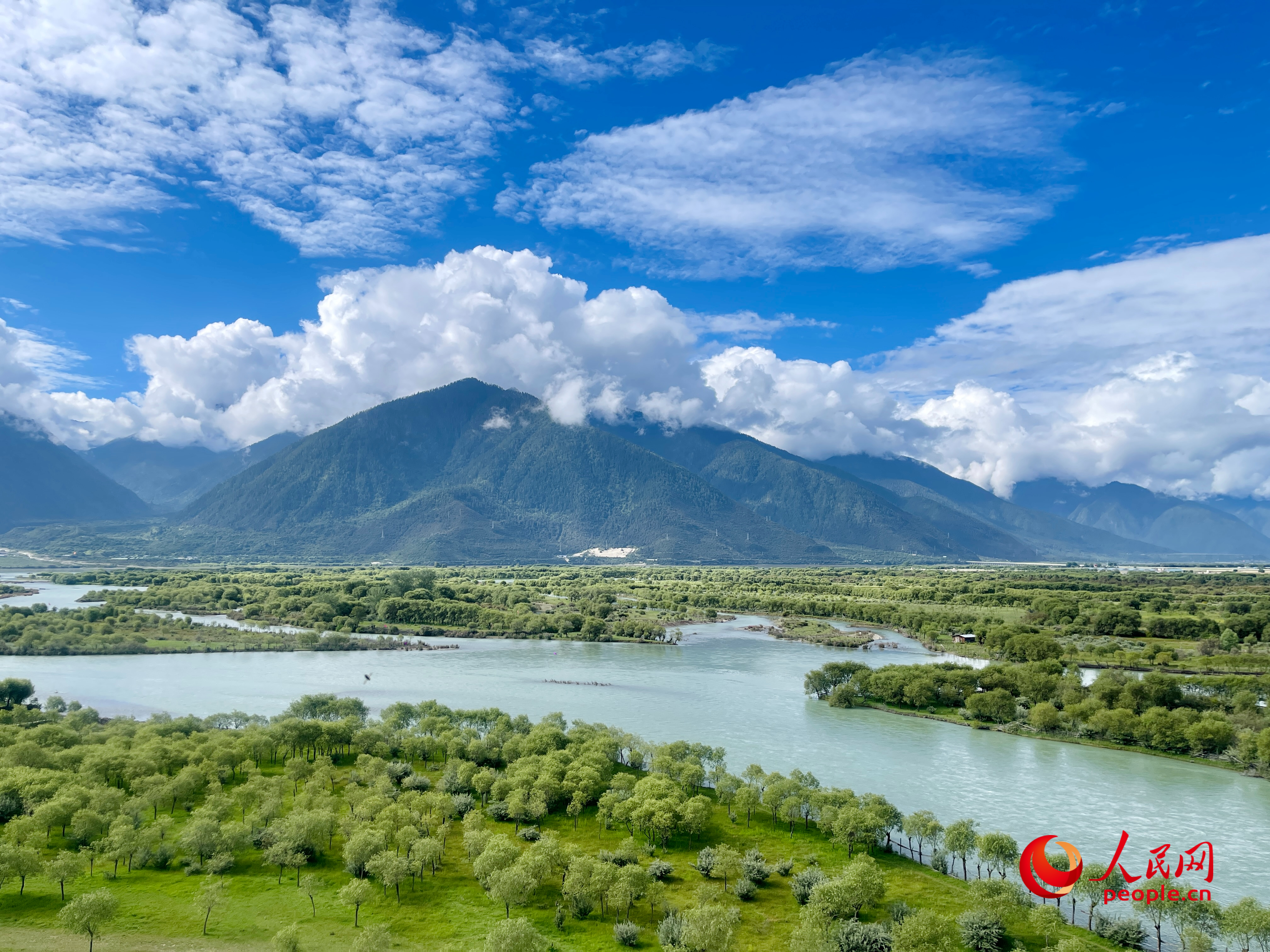 夏日的雅尼國(guó)家濕地公園生機(jī)盎然，如詩(shī)如畫(huà)。人民網(wǎng) 周靜圓攝
