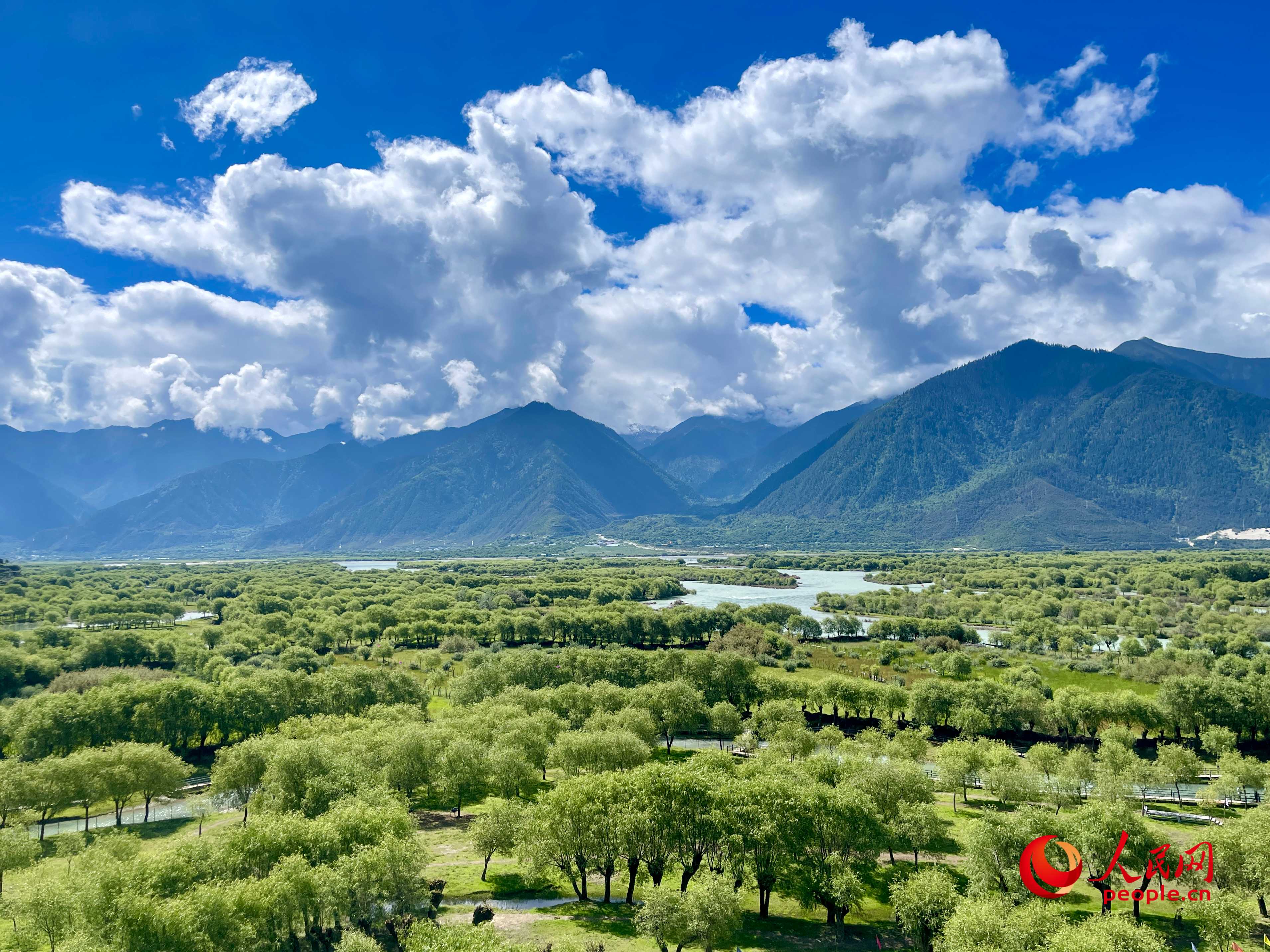 夏日的雅尼國(guó)家濕地公園生機(jī)盎然，如詩(shī)如畫(huà)。人民網(wǎng) 周靜圓攝